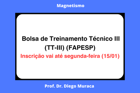Bolsa de Treinamento Técnico III (TT-III) (FAPESP)